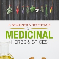 Herbal Medicines PLR - Medicinal Herbs and Spices