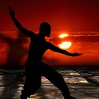 Qigong and Tai Chi PLR - Holistic Health in Motion