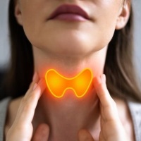 Thyroid Health PLR - 8 Videos