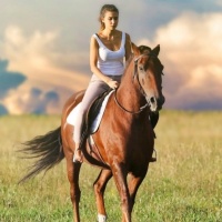 Equestrian Fitness PLR - Content and Audios