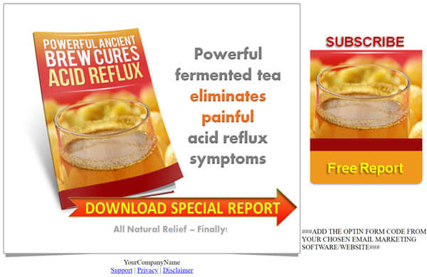 Fermented Brews PLR Report Squeeze Page