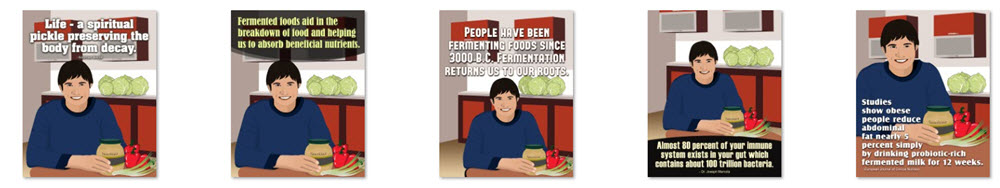 Fermented Foods PLR Social Posters