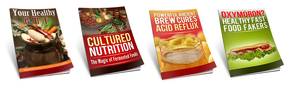 Healthy Gut PLR - Nutrition, Fermented Foods and Clean Food Habits