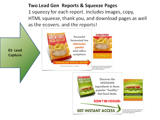 Healthy Gut PLR Squeeze Pages