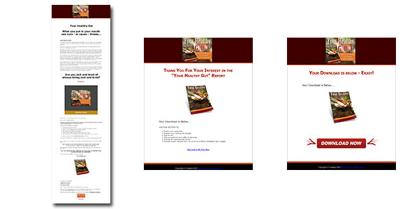 Healthy Gut PLR eBook Sales Page