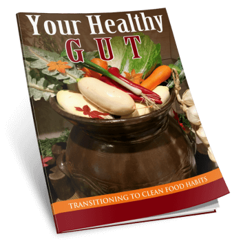 Healthy Gut PLR eBook eCover Graphic