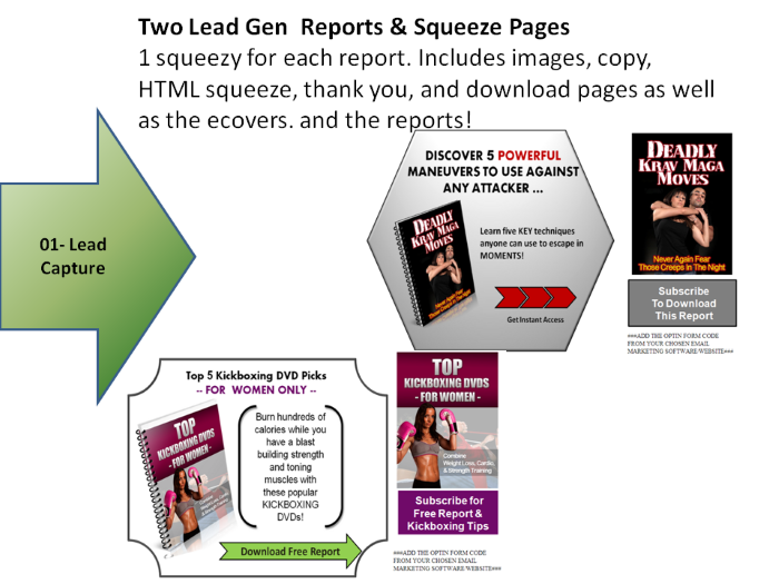 Kickboxing PLR and Krav Maga PLR Reports