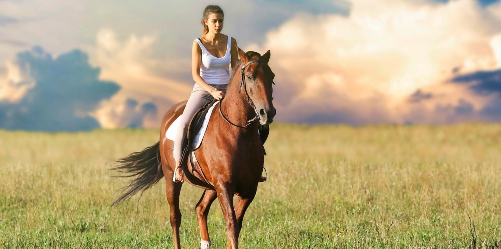 Equestrian Fitness PLR Content