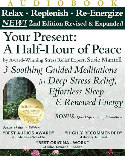 Guided Meditations for Deep Stress Relief, Effortless Sleep and Renewed Energy PLR Book Review