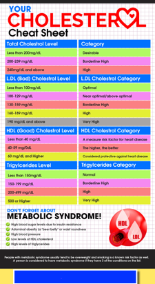 Cholesterol PLR Infographic