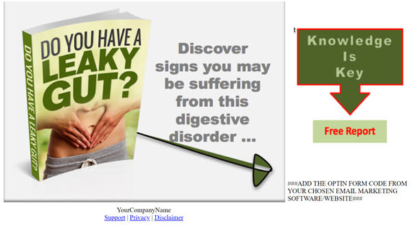 Do You Have A Leaky Gut PLR Report Squeeze Page