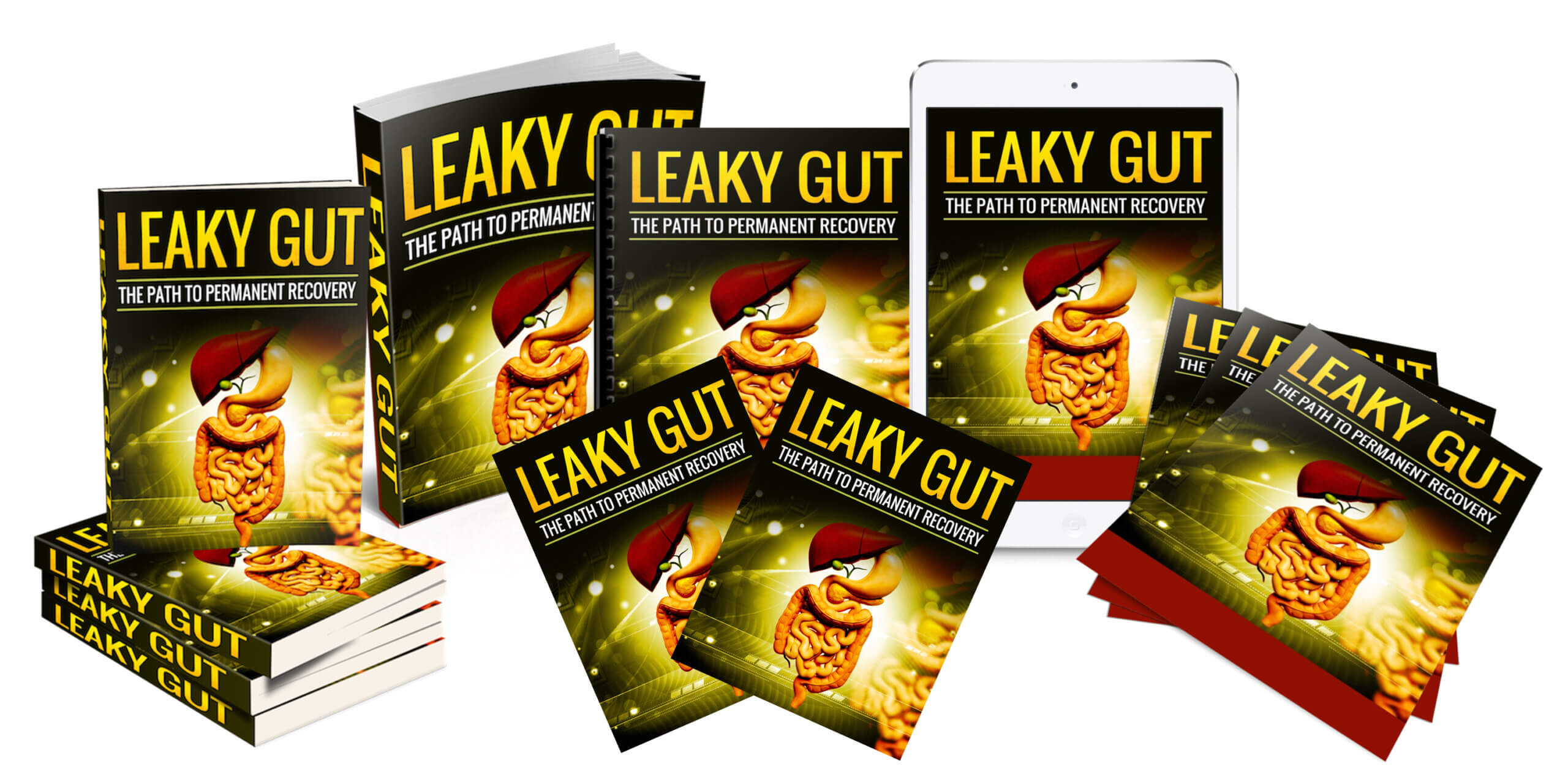 Leaky Gut PLR Content