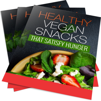 Healthy Vegan Snacks PLR Ecover