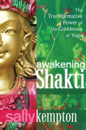 Awakening Shakti PLR Book Review