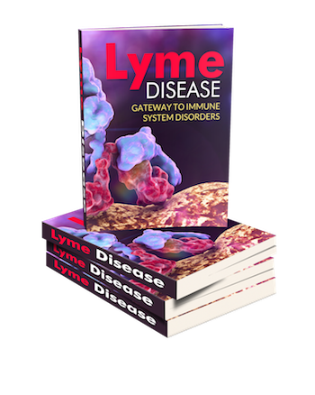 Lyme Disease PLR Report eBook Cover