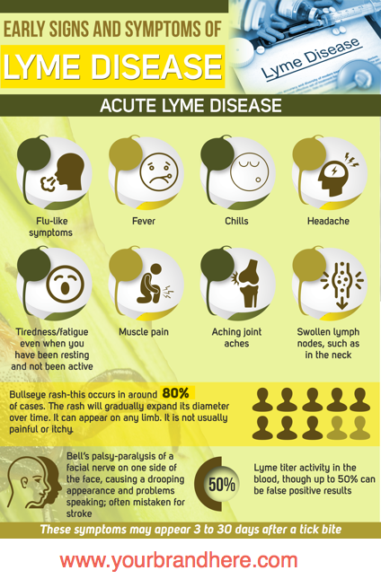 Lyme Disease PLR Infographic