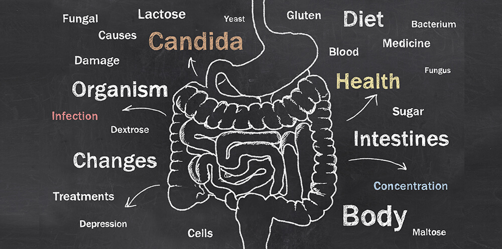 Candida PLR Content