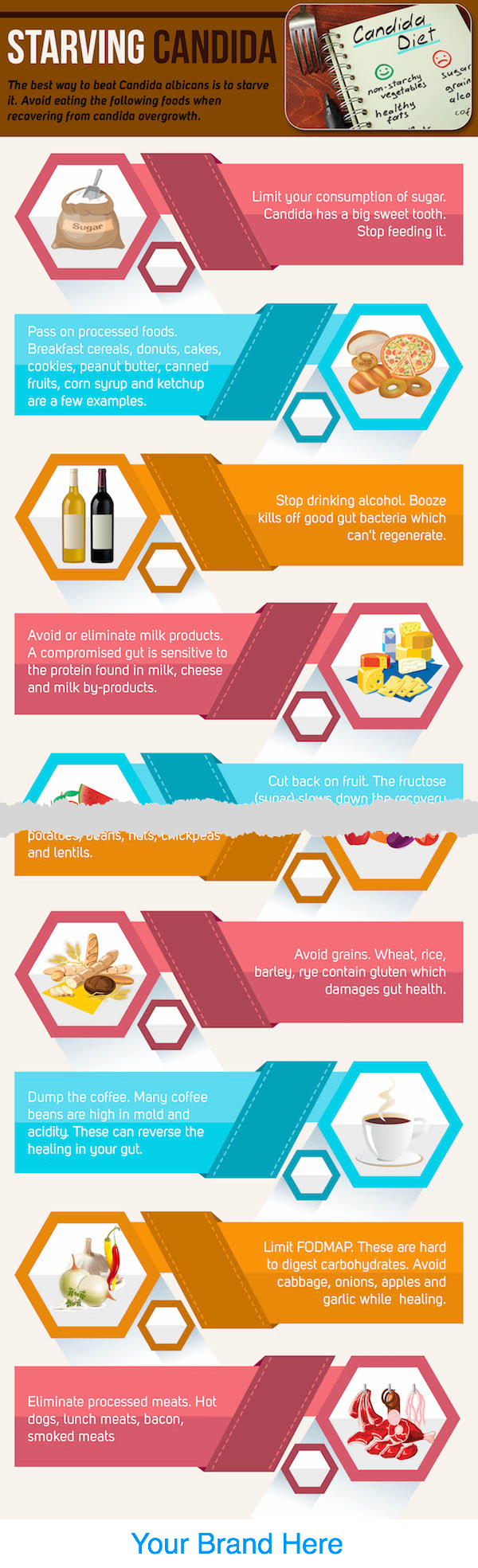 Candida PLR Infographic