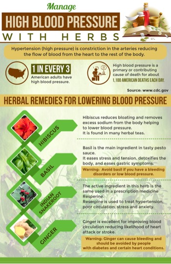 Herbal Remedies For Lowering Blood Pressure PLR Infographic