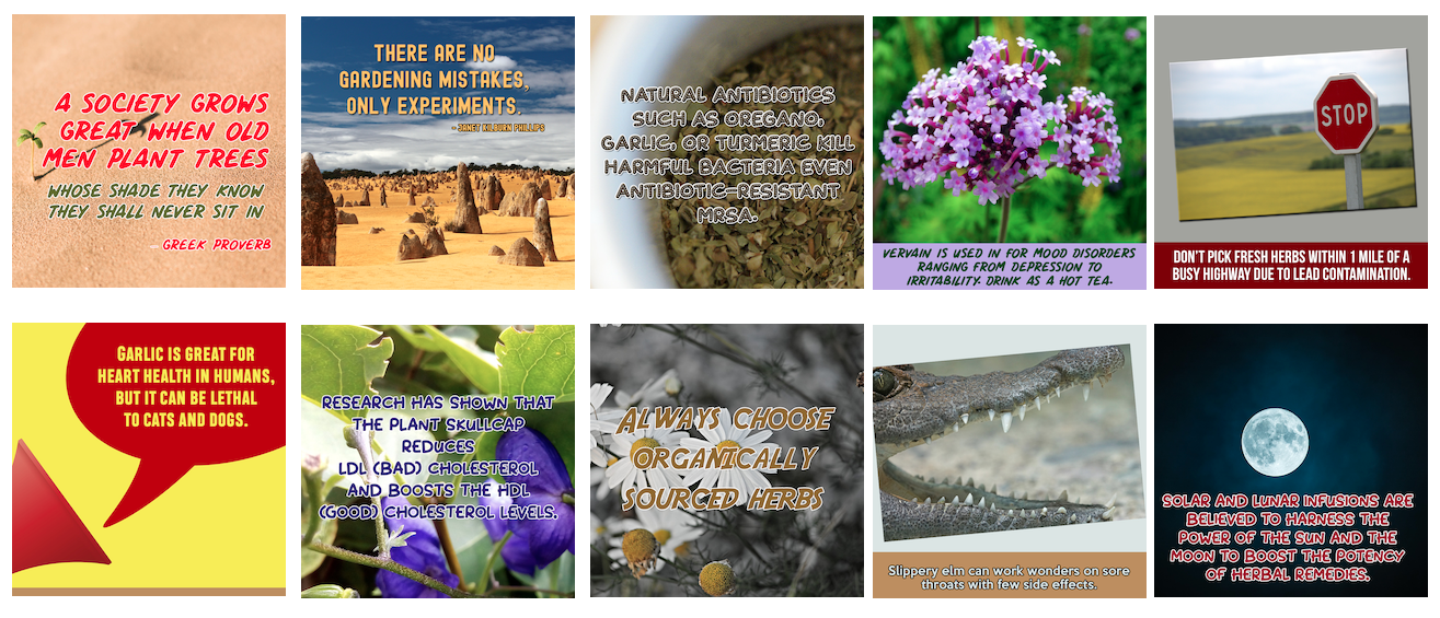 Herbal Medicines PLR Social Posters