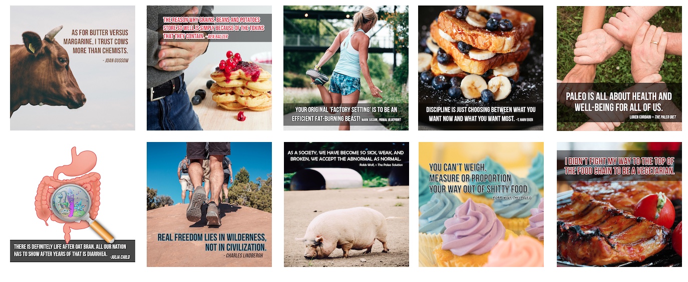 Paleo Diet PLR Social Posters