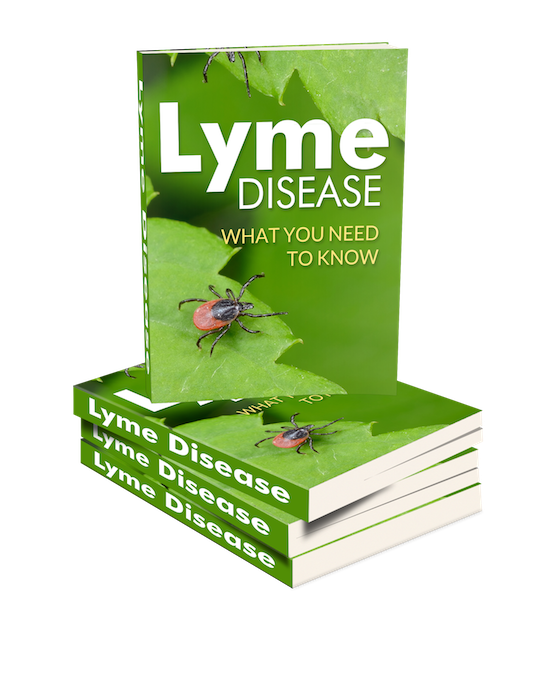 Lyme Disease PLR eBook cover