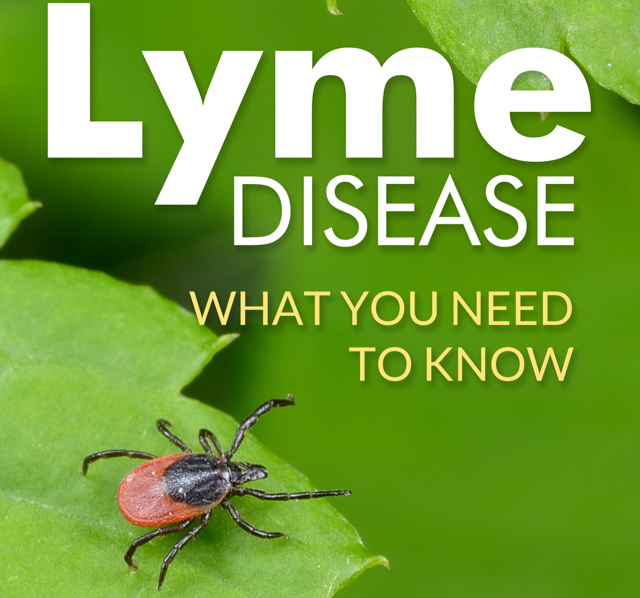 Lyme- Disease PLR
