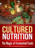 Healthy Gut Nutrition PLR - Fermented Foods-image