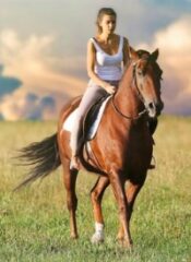 Equestrian Fitness PLR - Content and Audios-image