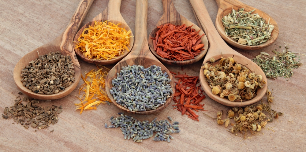 Herbal Medicines PLR - Medicinal Herbs and Spices Content