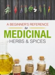 Herbal Medicines PLR – Medicinal Herbs-image