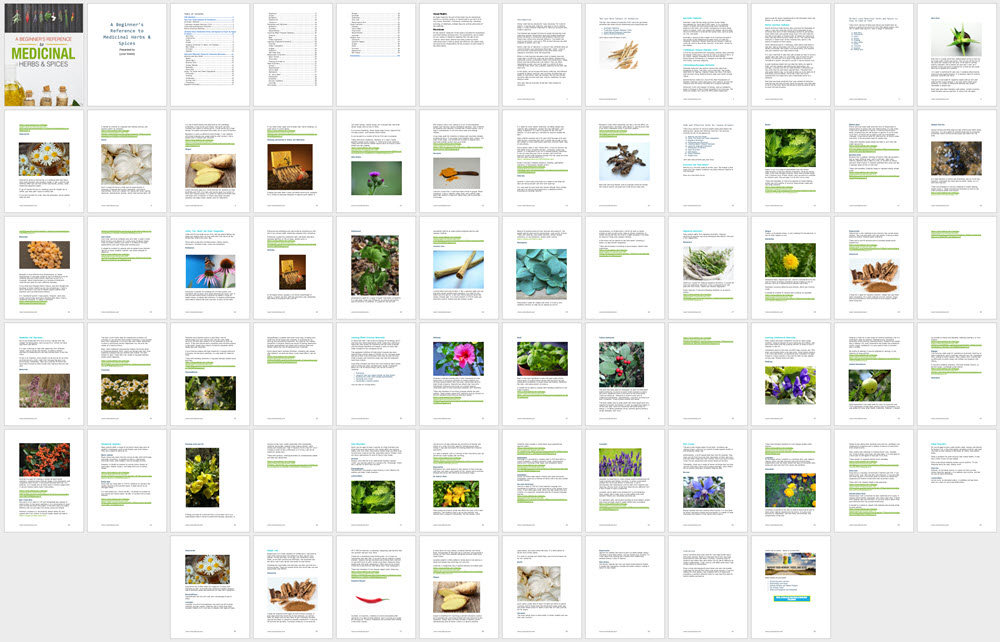 Herbal Medicines PLR eBook Content