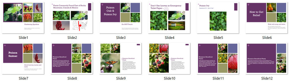 Gardening PLR Presentation