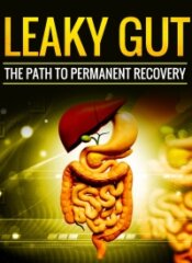 Leaky Gut PLR - Gut Health-image