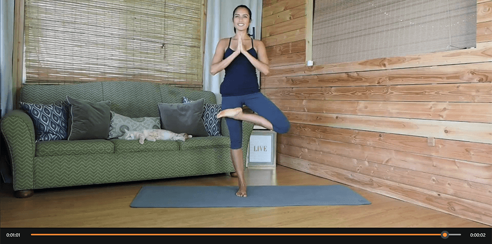 Yoga PLR Content and 20 Yoga Videos